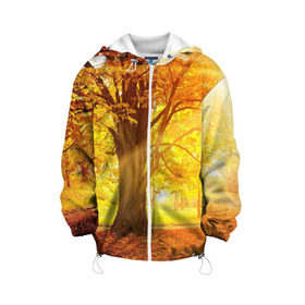 Детская куртка 3D с принтом Осень в Курске, 100% полиэстер | застежка — молния, подол и капюшон оформлены резинкой с фиксаторами, по бокам — два кармана без застежек, один потайной карман на груди, плотность верхнего слоя — 90 г/м2; плотность флисового подклада — 260 г/м2 | autumn | bright | colors | forest | paint | trees | деревья | краски | лес | осень | цвета | яркие