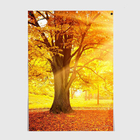 Постер с принтом Осень в Курске, 100% бумага
 | бумага, плотность 150 мг. Матовая, но за счет высокого коэффициента гладкости имеет небольшой блеск и дает на свету блики, но в отличии от глянцевой бумаги не покрыта лаком | autumn | bright | colors | forest | paint | trees | деревья | краски | лес | осень | цвета | яркие
