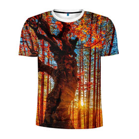 Мужская футболка 3D спортивная с принтом Осень в Курске, 100% полиэстер с улучшенными характеристиками | приталенный силуэт, круглая горловина, широкие плечи, сужается к линии бедра | autumn | bright | colors | forest | trees | деревья | краски | лес | лучи | осень | солнце | цвета | яркие