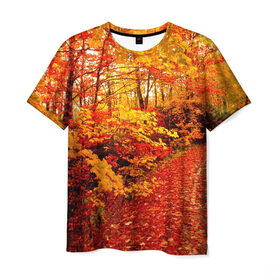 Мужская футболка 3D с принтом Осень в Курске, 100% полиэфир | прямой крой, круглый вырез горловины, длина до линии бедер | autumn | bright | colors | forest | paint | trees | деревья | краски | лес | осень | цвета | яркие
