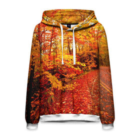 Мужская толстовка 3D с принтом Осень в Курске, 100% полиэстер | двухслойный капюшон со шнурком для регулировки, мягкие манжеты на рукавах и по низу толстовки, спереди карман-кенгуру с мягким внутренним слоем. | autumn | bright | colors | forest | paint | trees | деревья | краски | лес | осень | цвета | яркие