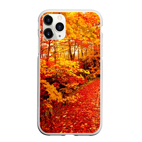Чехол для iPhone 11 Pro Max матовый с принтом Осень в Курске, Силикон |  | autumn | bright | colors | forest | paint | trees | деревья | краски | лес | осень | цвета | яркие