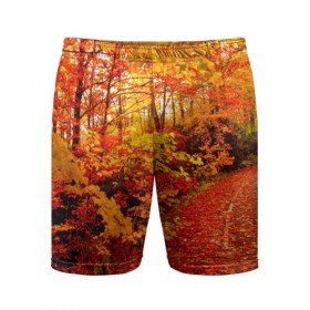 Мужские шорты 3D спортивные с принтом Осень в Курске,  |  | autumn | bright | colors | forest | paint | trees | деревья | краски | лес | осень | цвета | яркие