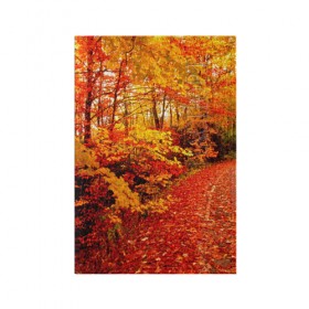 Обложка для паспорта матовая кожа с принтом Осень в Курске, натуральная матовая кожа | размер 19,3 х 13,7 см; прозрачные пластиковые крепления | autumn | bright | colors | forest | paint | trees | деревья | краски | лес | осень | цвета | яркие