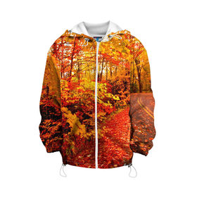 Детская куртка 3D с принтом Осень в Курске, 100% полиэстер | застежка — молния, подол и капюшон оформлены резинкой с фиксаторами, по бокам — два кармана без застежек, один потайной карман на груди, плотность верхнего слоя — 90 г/м2; плотность флисового подклада — 260 г/м2 | Тематика изображения на принте: autumn | bright | colors | forest | paint | trees | деревья | краски | лес | осень | цвета | яркие