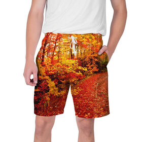 Мужские шорты 3D с принтом Осень в Курске,  полиэстер 100% | прямой крой, два кармана без застежек по бокам. Мягкая трикотажная резинка на поясе, внутри которой широкие завязки. Длина чуть выше колен | autumn | bright | colors | forest | paint | trees | деревья | краски | лес | осень | цвета | яркие