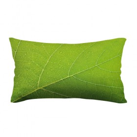 Подушка 3D антистресс с принтом Листик 2 в Курске, наволочка — 100% полиэстер, наполнитель — вспененный полистирол | состоит из подушки и наволочки на молнии | Тематика изображения на принте: зеленый | зелень | лист | природа | растения