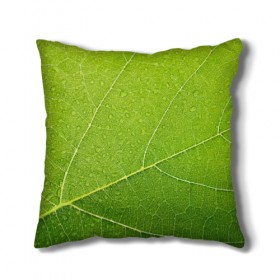Подушка 3D с принтом Листик 2 в Курске, наволочка – 100% полиэстер, наполнитель – холлофайбер (легкий наполнитель, не вызывает аллергию). | состоит из подушки и наволочки. Наволочка на молнии, легко снимается для стирки | Тематика изображения на принте: зеленый | зелень | лист | природа | растения