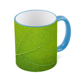 Кружка 3D с принтом Листик 2 в Курске, керамика | ёмкость 330 мл | Тематика изображения на принте: зеленый | зелень | лист | природа | растения