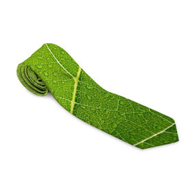 Галстук 3D с принтом Листик 2 в Курске, 100% полиэстер | Длина 148 см; Плотность 150-180 г/м2 | Тематика изображения на принте: зеленый | зелень | лист | природа | растения
