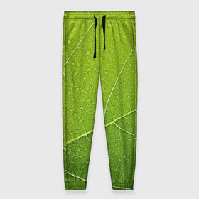 Женские брюки 3D с принтом Листик 2 в Курске, полиэстер 100% | прямой крой, два кармана без застежек по бокам, с мягкой трикотажной резинкой на поясе и по низу штанин. В поясе для дополнительного комфорта — широкие завязки | зеленый | зелень | лист | природа | растения