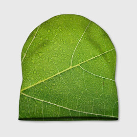 Шапка 3D с принтом Листик 2 в Курске, 100% полиэстер | универсальный размер, печать по всей поверхности изделия | зеленый | зелень | лист | природа | растения