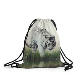 Рюкзак-мешок 3D с принтом Белый тигр в Курске, 100% полиэстер | плотность ткани — 200 г/м2, размер — 35 х 45 см; лямки — толстые шнурки, застежка на шнуровке, без карманов и подкладки | дикая кошка | природа | тигр | хищник