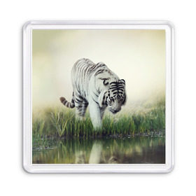 Магнит 55*55 с принтом Белый тигр в Курске, Пластик | Размер: 65*65 мм; Размер печати: 55*55 мм | дикая кошка | природа | тигр | хищник