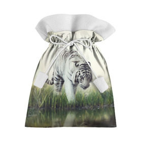 Подарочный 3D мешок с принтом Белый тигр в Курске, 100% полиэстер | Размер: 29*39 см | дикая кошка | природа | тигр | хищник