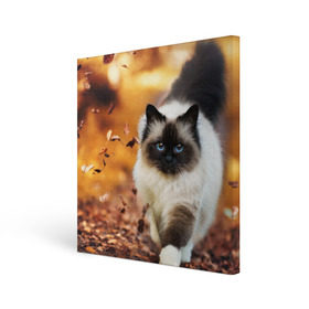 Холст квадратный с принтом Котик в листьях в Курске, 100% ПВХ |  | грация | кот | котик | кошка | листья | осень