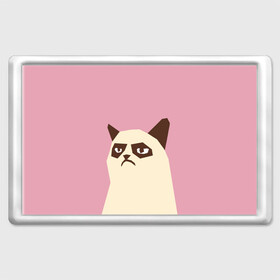 Магнит 45*70 с принтом Grumpy cat pink в Курске, Пластик | Размер: 78*52 мм; Размер печати: 70*45 | кот | мем | угрюмый