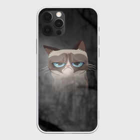 Чехол для iPhone 12 Pro Max с принтом Grumpy Cat в Курске, Силикон |  | кот | мем | угрюмый