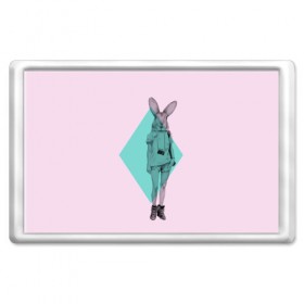 Магнит 45*70 с принтом Pink Rabbit в Курске, Пластик | Размер: 78*52 мм; Размер печати: 70*45 | Тематика изображения на принте: hipster | rabbit | swag | кролик | хипстер