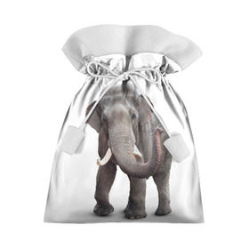 Подарочный 3D мешок с принтом Слон VPPDGryphon в Курске, 100% полиэстер | Размер: 29*39 см | luxury | premium | vip | vppdgryphon | премиум | слон | эксклюзив