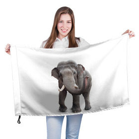 Флаг 3D с принтом Слон VPPDGryphon в Курске, 100% полиэстер | плотность ткани — 95 г/м2, размер — 67 х 109 см. Принт наносится с одной стороны | luxury | premium | vip | vppdgryphon | премиум | слон | эксклюзив