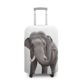 Чехол для чемодана 3D с принтом Слон VPPDGryphon в Курске, 86% полиэфир, 14% спандекс | двустороннее нанесение принта, прорези для ручек и колес | luxury | premium | vip | vppdgryphon | премиум | слон | эксклюзив