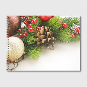 Альбом для рисования с принтом Дуx рождества в Курске, 100% бумага
 | матовая бумага, плотность 200 мг. | Тематика изображения на принте: 2017 | год | зима | новинки | новый | петух | популярное | праздник | символ | снег