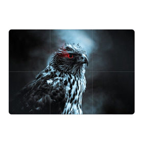 Магнитный плакат 3Х2 с принтом Ночной орёл в Курске, Полимерный материал с магнитным слоем | 6 деталей размером 9*9 см | глаз | крылья | орёл | пернатые | перья | природа | птица