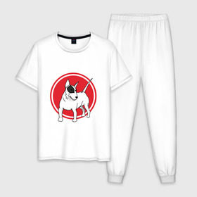 Мужская пижама хлопок с принтом Бультерьер в Курске, 100% хлопок | брюки и футболка прямого кроя, без карманов, на брюках мягкая резинка на поясе и по низу штанин
 | бультерьер | собака