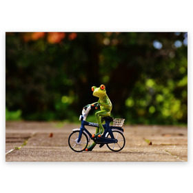 Поздравительная открытка с принтом Лягушка в Курске, 100% бумага | плотность бумаги 280 г/м2, матовая, на обратной стороне линовка и место для марки
 | Тематика изображения на принте: велосипед | жаба | животные | лягушка | мини | фигурка