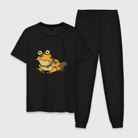 Мужская пижама хлопок с принтом Гипножаба в Курске, 100% хлопок | брюки и футболка прямого кроя, без карманов, на брюках мягкая резинка на поясе и по низу штанин
 | 