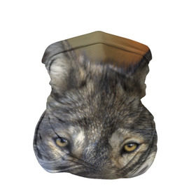 Бандана-труба 3D с принтом Волк в Курске, 100% полиэстер, ткань с особыми свойствами — Activecool | плотность 150‒180 г/м2; хорошо тянется, но сохраняет форму | волк | волки | волчата | волчонок | хищник