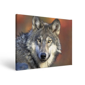 Холст прямоугольный с принтом Волк в Курске, 100% ПВХ |  | волк | волки | волчата | волчонок | хищник