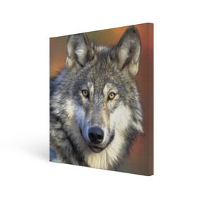 Холст квадратный с принтом Волк в Курске, 100% ПВХ |  | волк | волки | волчата | волчонок | хищник