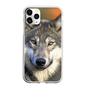 Чехол для iPhone 11 Pro матовый с принтом Волк в Курске, Силикон |  | волк | волки | волчата | волчонок | хищник