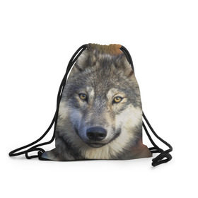Рюкзак-мешок 3D с принтом Волк в Курске, 100% полиэстер | плотность ткани — 200 г/м2, размер — 35 х 45 см; лямки — толстые шнурки, застежка на шнуровке, без карманов и подкладки | волк | волки | волчата | волчонок | хищник
