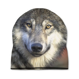 Шапка 3D с принтом Волк в Курске, 100% полиэстер | универсальный размер, печать по всей поверхности изделия | Тематика изображения на принте: волк | волки | волчата | волчонок | хищник