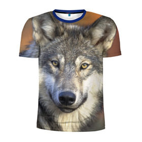 Мужская футболка 3D спортивная с принтом Волк в Курске, 100% полиэстер с улучшенными характеристиками | приталенный силуэт, круглая горловина, широкие плечи, сужается к линии бедра | волк | волки | волчата | волчонок | хищник