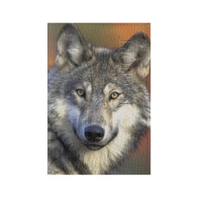 Обложка для паспорта матовая кожа с принтом Волк в Курске, натуральная матовая кожа | размер 19,3 х 13,7 см; прозрачные пластиковые крепления | Тематика изображения на принте: волк | волки | волчата | волчонок | хищник