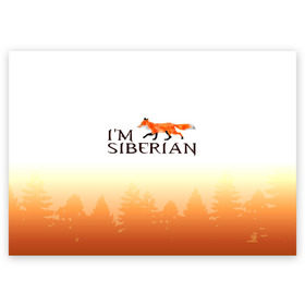 Поздравительная открытка с принтом Я из Сибири в Курске, 100% бумага | плотность бумаги 280 г/м2, матовая, на обратной стороне линовка и место для марки
 | siberia | лес | лиса | приключения | россия | сибирь | тайга | туризм | холод | экстрим