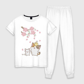 Женская пижама хлопок с принтом cats в Курске, 100% хлопок | брюки и футболка прямого кроя, без карманов, на брюках мягкая резинка на поясе и по низу штанин | cat | sakura | tmblr | tumbler | кошка | сакура