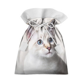 Подарочный 3D мешок с принтом Кошечка в Курске, 100% полиэстер | Размер: 29*39 см | Тематика изображения на принте: кот | котики | котята | кошка | рыженький | рыжий | серенький | черненький