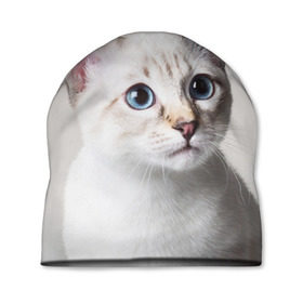 Шапка 3D с принтом Кошечка в Курске, 100% полиэстер | универсальный размер, печать по всей поверхности изделия | кот | котики | котята | кошка | рыженький | рыжий | серенький | черненький