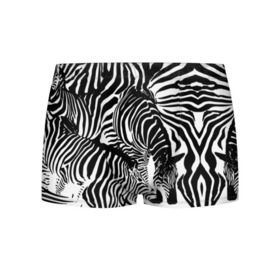 Мужские трусы 3D с принтом Зебра в Курске, 50% хлопок, 50% полиэстер | классическая посадка, на поясе мягкая тканевая резинка | дикое | животное | зебра | камуфляж | лошадь | маскировка | полосы | текстура | фон | черно белые