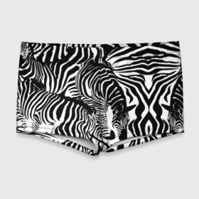Мужские купальные плавки 3D с принтом Зебра в Курске, Полиэстер 85%, Спандекс 15% |  | дикое | животное | зебра | камуфляж | лошадь | маскировка | полосы | текстура | фон | черно белые