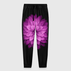 Мужские брюки 3D с принтом Violet в Курске, 100% полиэстер | манжеты по низу, эластичный пояс регулируется шнурком, по бокам два кармана без застежек, внутренняя часть кармана из мелкой сетки | лепестки | прикольные картинки | фиолетовый | цветочки | цветы