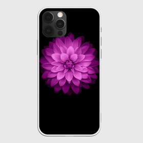 Чехол для iPhone 12 Pro Max с принтом Violet в Курске, Силикон |  | лепестки | прикольные картинки | фиолетовый | цветочки | цветы