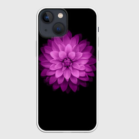 Чехол для iPhone 13 mini с принтом Violet в Курске,  |  | Тематика изображения на принте: лепестки | прикольные картинки | фиолетовый | цветочки | цветы