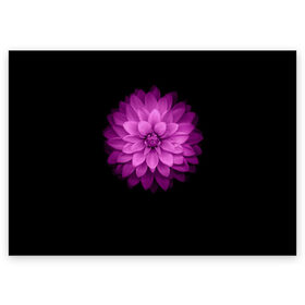 Поздравительная открытка с принтом Violet в Курске, 100% бумага | плотность бумаги 280 г/м2, матовая, на обратной стороне линовка и место для марки
 | лепестки | прикольные картинки | фиолетовый | цветочки | цветы