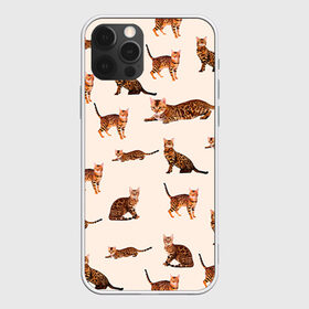 Чехол для iPhone 12 Pro Max с принтом Котейки дольче 2 в Курске, Силикон |  | dg | dolce | gabbana | габбана | дольче | киска | котенок | котик | кошечка | кошка